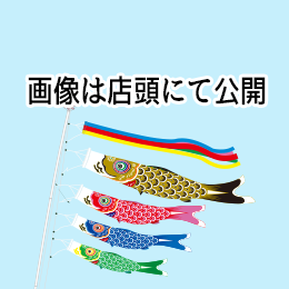昇華染め鯉のぼり【天空鯉】(5M/4M)